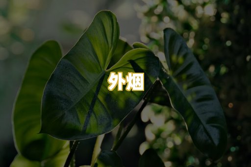 外烟